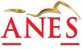 Anes Motor