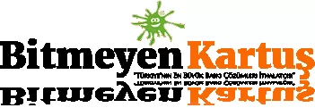 Bitmeyen Kartuş